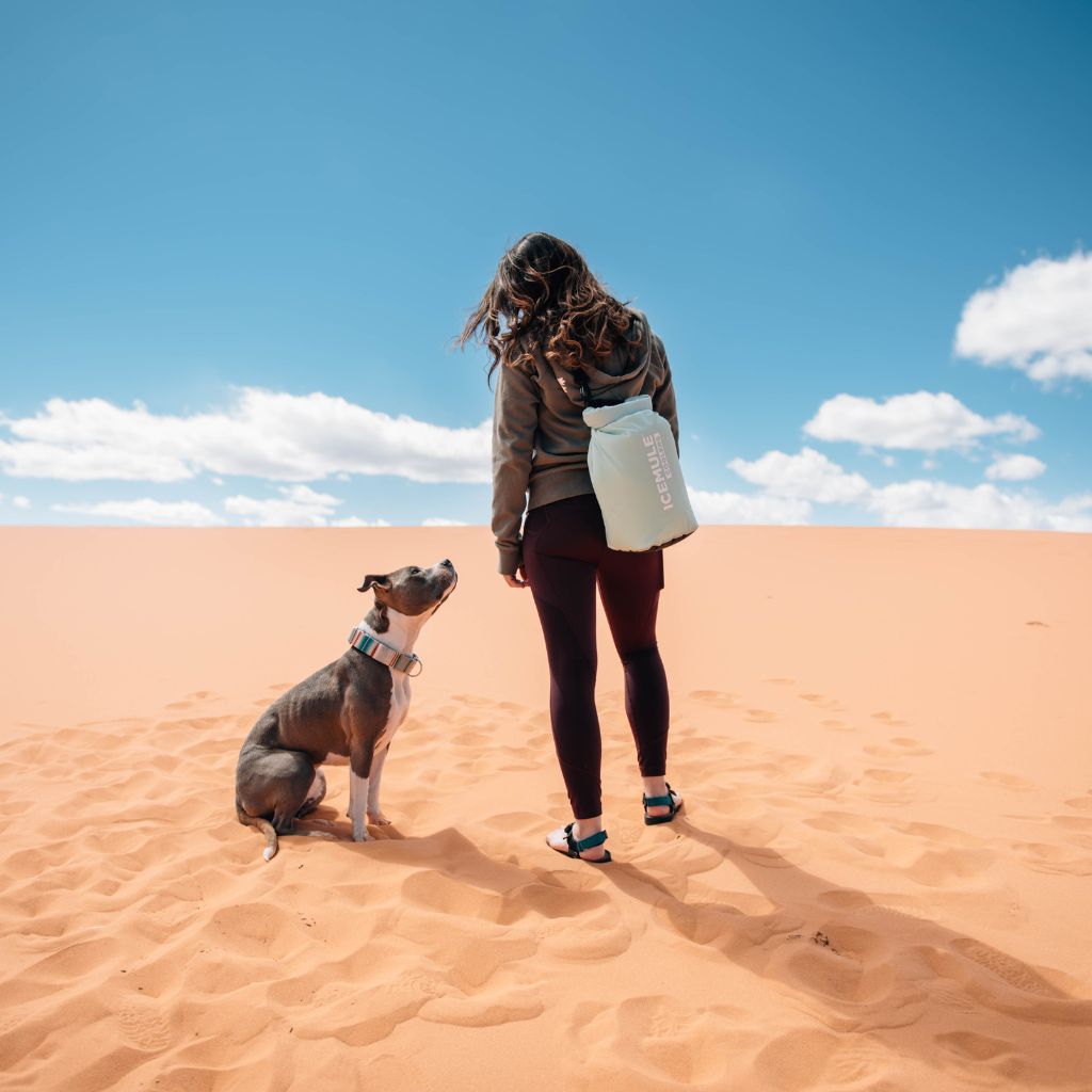 Person with dog in the dessert with Classic Mini Seafoam 
