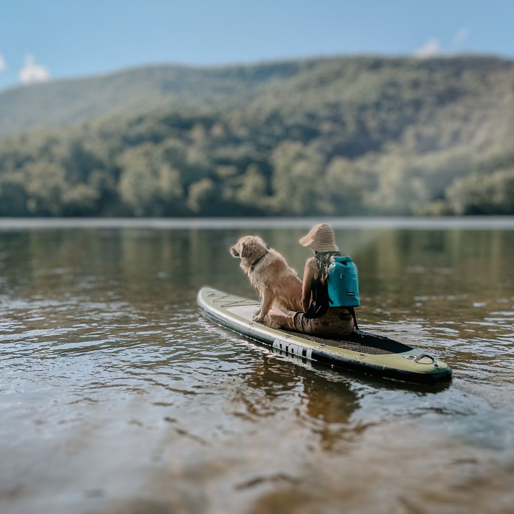 Paddleboarding with dog and Jaunt 15l