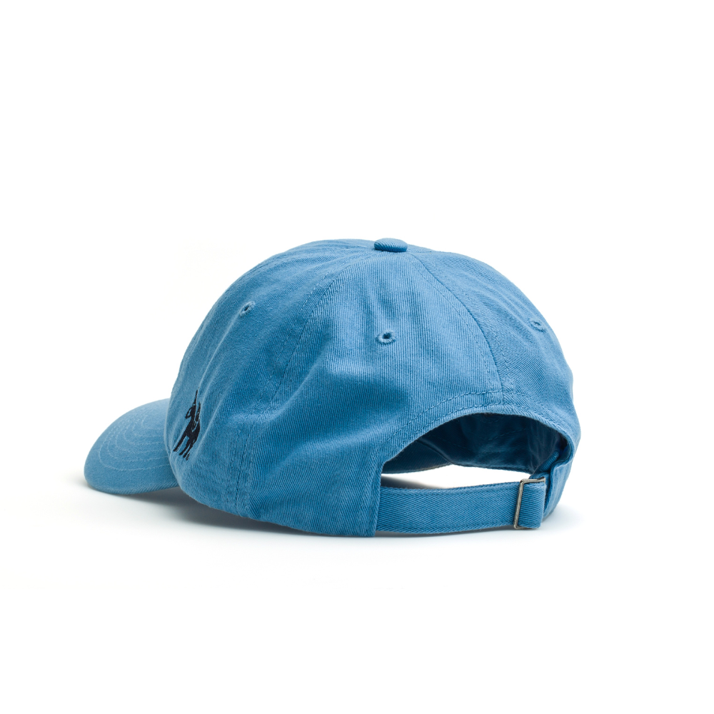 Hat back Columbia Blue