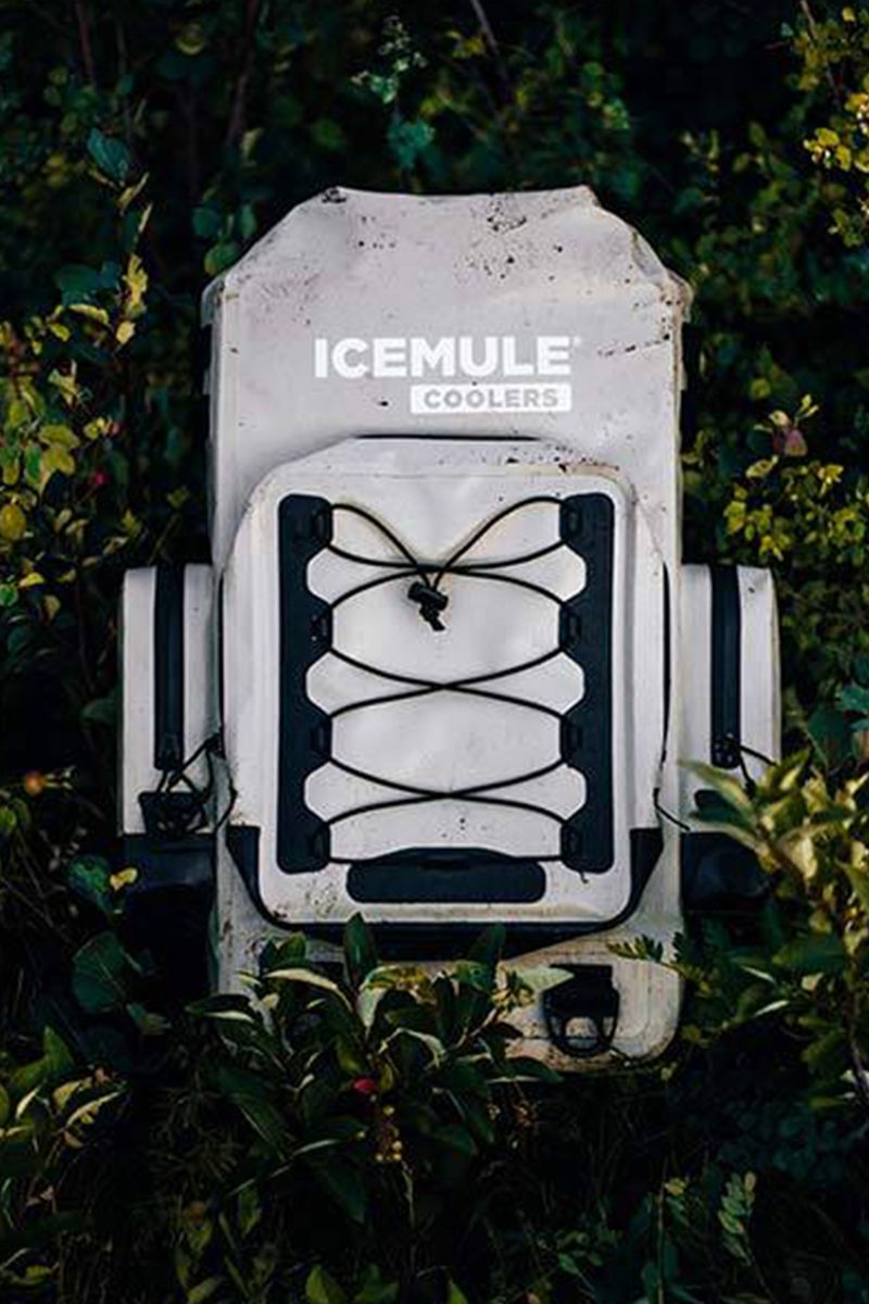 Icemule 2024 boss cooler